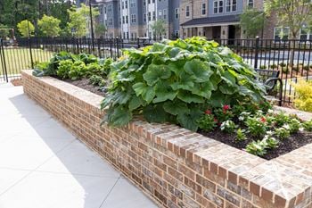 Community garden